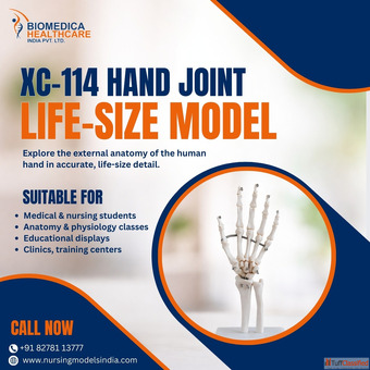 Hospital Bed Manufacturers in Chandigarh