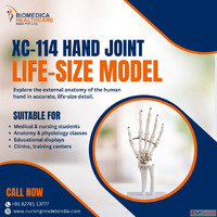 Hospital Bed Manufacturers in Chandigarh