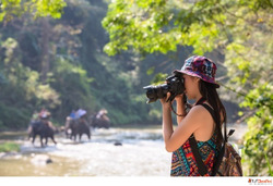 Explore Nature with an Unforgettable Sri Lanka Wildlife Safa...