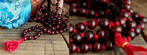 Certified Original Rudraksha in Haridwar With Full Guidance