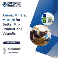 Animal Mineral Mixture - Vetpolis for Healthy Cattle