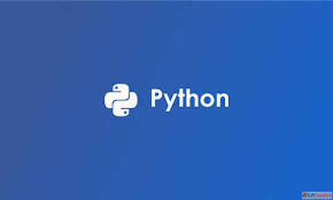 Python online training