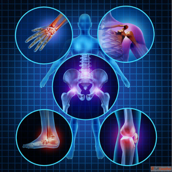 Best Orthopedic Brands in India