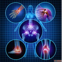 Best Orthopedic Brands in India