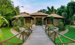 Dhikala Forest Lodge Booking Ultimate Jungle Stay Guide
