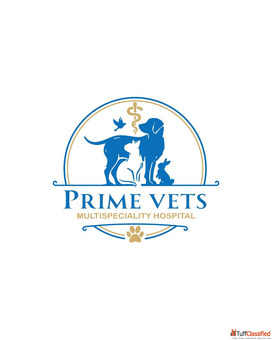 Best Veterinary Hospital in Mohali for Dogs Cats