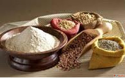 Basmati Rice Wholesale Suppliers in India - Premium Quality