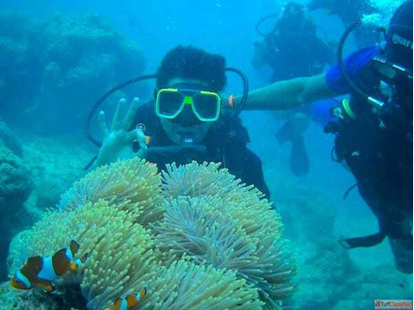 scuba diving in Andaman