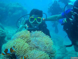 scuba diving in Andaman