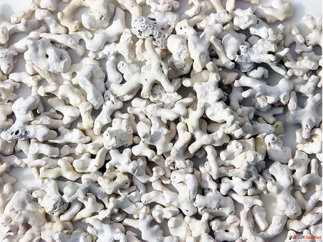 Caltron Clays Chemicals Marine Magnesuim Manufacturer and supplier in India