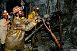 Two-Way Radios with 247 Customer Support You Can Rely On