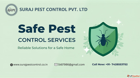 Safe Pest Control Services in Gurgaon