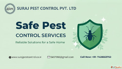 Safe Pest Control Services in Gurgaon