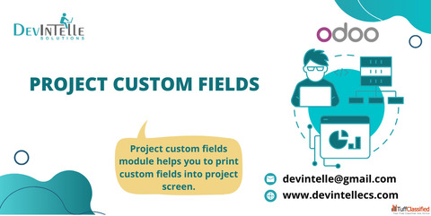 Project Custom Fields in Odoo