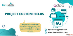 Project Custom Fields in Odoo