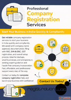 Professional Company Registration Services