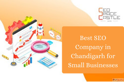 Best SEO Company in Chandigarh for Small Businesses