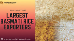 Largest Basmati Rice Exporters Shree Krishna Exports