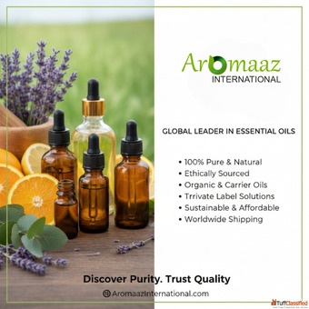 2026 Guide to the Best Essential Oil Brands for Purity Wellness