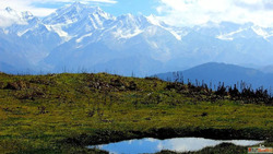 Book your Dayara Bugyal Trek with Himalaya Shelter