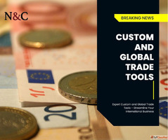 Expert Custom and Global Trade Tools - Streamline Your Inter...