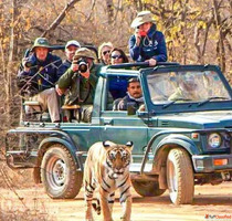 Corbett Booking Brings Easy Safari Access to Bijrani Zone in...