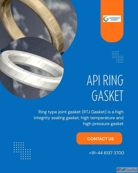 API ring gasket