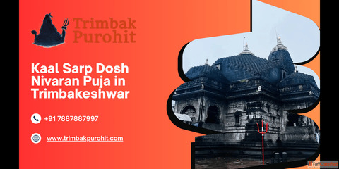 Kaal Sarp Dosh Nivaran Puja in Trimbakeshwar Cost Booking Details