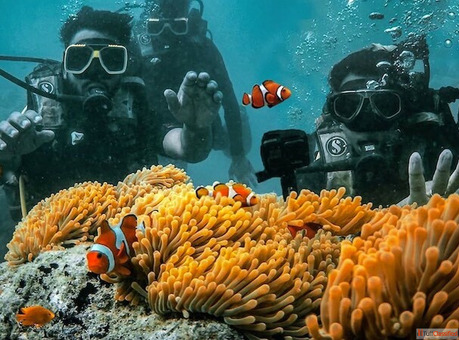 Beyond the Surface My Guide to the Best Scuba Diving in Andaman