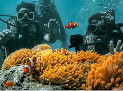 Beyond the Surface My Guide to the Best Scuba Diving in Anda...