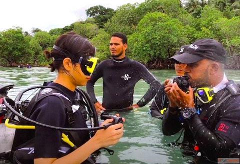 Beyond the Surface My Guide to the Best Scuba Diving in Andaman