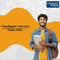 Master Leadership Roles Chandigarh University Online MBA