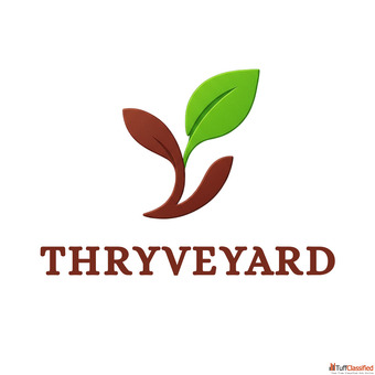 Thryveyard - Revenue Driven Digital Marketing Agency