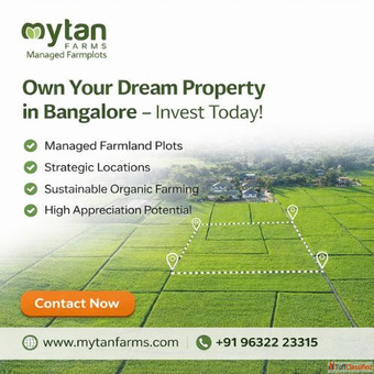 Looking for the Best Property to Buy in Bangalore Invest Now