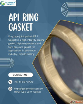 API ring gasket