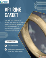 API ring gasket