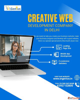 Web Development Company in Delhi Professional Website Design...