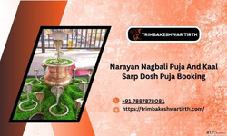 Narayan Nagbali Puja And Kaal Sarp Dosh Puja Booking