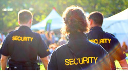 The Role of Security in Financial Institution Protection