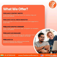 Hire Freelance Web Developer And Website Designer in India