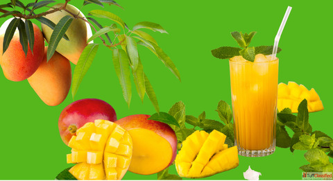 Mango Pulp Supplier Exporter - Bulk Supply Available