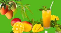 Mango Pulp Supplier Exporter - Bulk Supply Available
