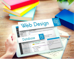 Web Design Company in Bangalore Custom Websites