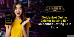 Get Your Online Betting ID Today - Start Winning Now