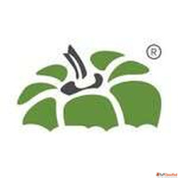 Professional Web Design Company in Mumbai for Modern Busines...