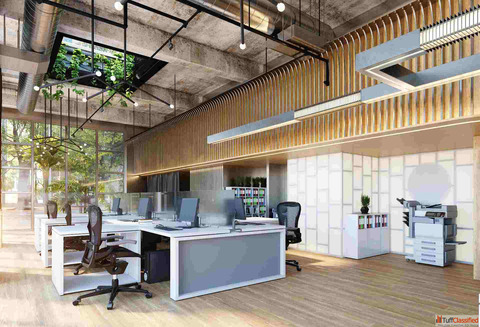 Budget-Friendly Office Renovation Ideas That Give Your Workspace a Premium Look