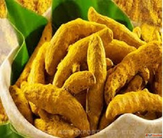 Turmeric Finger Suppliers in Pune