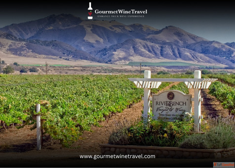 best wineries in santa barbara