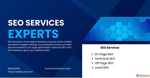 Seo Service in Pune