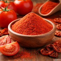 Dehydrated Tomato Powder Suppliers in Rajkot